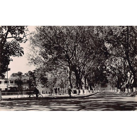 Rare collectable postcards of Senegal. Vintage Postcards of Senegal