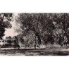 Rare collectable postcards of Senegal. Vintage Postcards of Senegal