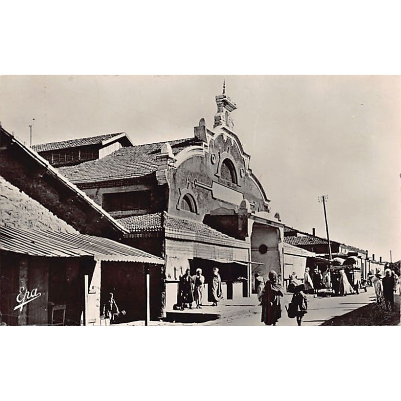 Rare collectable postcards of Algeria. Vintage Postcards of Algeria