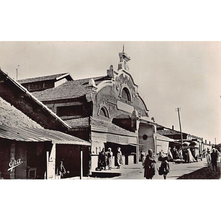 Rare collectable postcards of Algeria. Vintage Postcards of Algeria