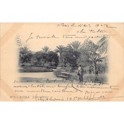 Rare collectable postcards of Algeria. Vintage Postcards of Algeria