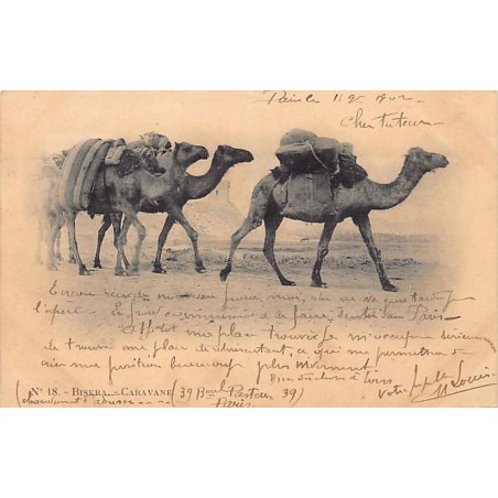 Rare collectable postcards of Algeria. Vintage Postcards of Algeria