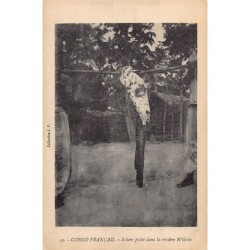 Rare collectable postcards of Congo - Brazzaville. Vintage Postcards of Congo - Brazzaville