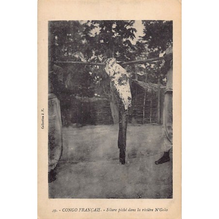 Rare collectable postcards of Congo - Brazzaville. Vintage Postcards of Congo - Brazzaville