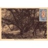 Rare collectable postcards of Ethiopia. Vintage Postcards of Ethiopia