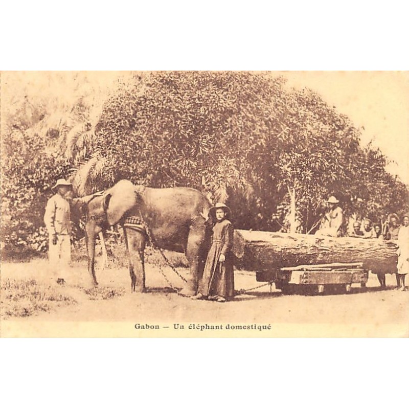 Rare collectable postcards of Gabon. Vintage Postcards of Gabon