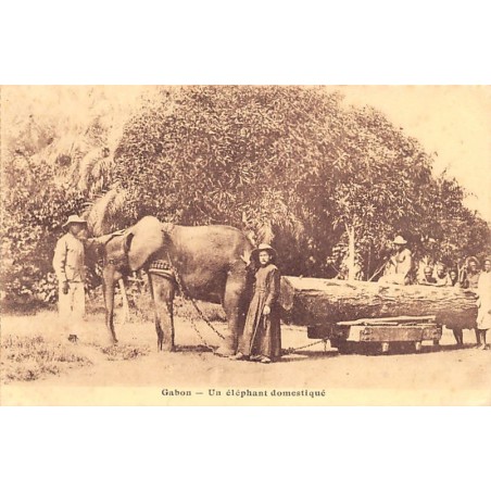 Rare collectable postcards of Gabon. Vintage Postcards of Gabon