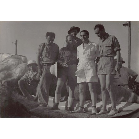 Rare collectable postcards of Gabon. Vintage Postcards of Gabon