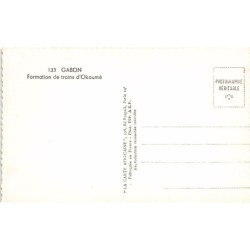 Rare collectable postcards of Gabon. Vintage Postcards of Gabon