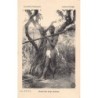 Rare collectable postcards of Ivory Coast - Côte d'Ivoire. Vintage Postcards of Ivory Coast - Côte d'Ivoire