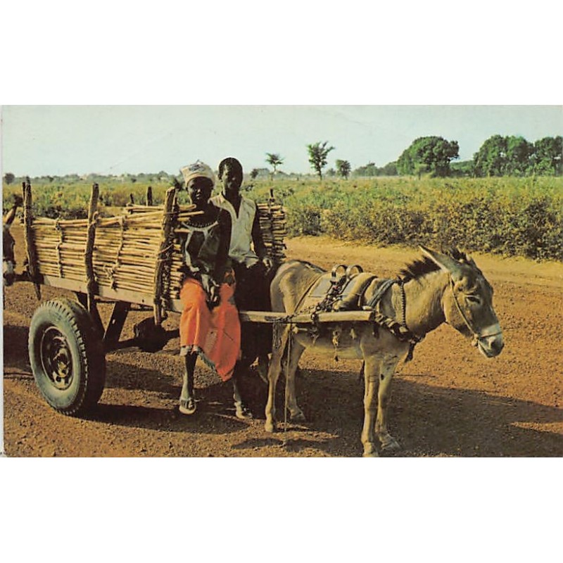 Rare collectable postcards of Mali. Vintage Postcards of Mali
