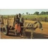 Rare collectable postcards of Mali. Vintage Postcards of Mali