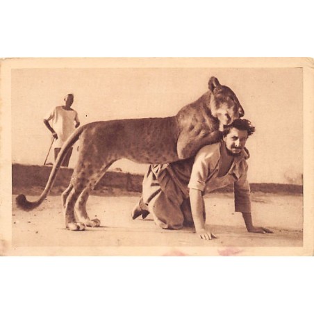 Rare collectable postcards of Mali. Vintage Postcards of Mali