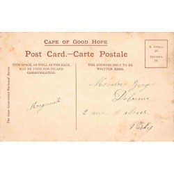 Rare collectable postcards of South Africa. Vintage Postcards of South Africa