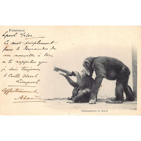 Rare collectable postcards of Sierra Leone. Vintage Postcards of Sierra Leone