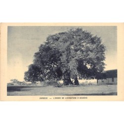 Rare collectable postcards of Zambia. Vintage Postcards of Zambia
