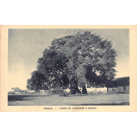 Rare collectable postcards of Zambia. Vintage Postcards of Zambia
