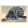 Rare collectable postcards of Zambia. Vintage Postcards of Zambia