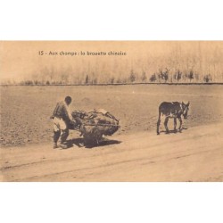 Rare collectable postcards of China. Vintage Postcards of China