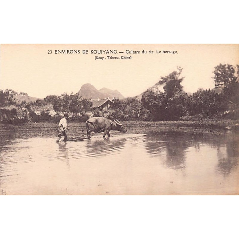 Rare collectable postcards of China. Vintage Postcards of China