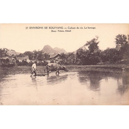 Rare collectable postcards of China. Vintage Postcards of China