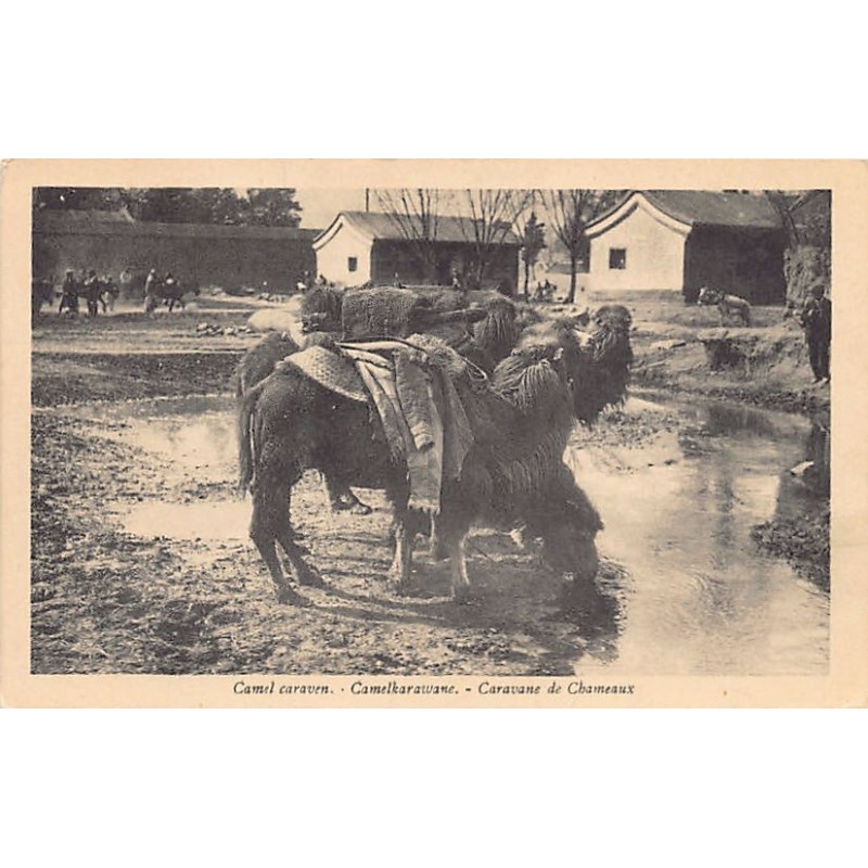 Rare collectable postcards of China. Vintage Postcards of China