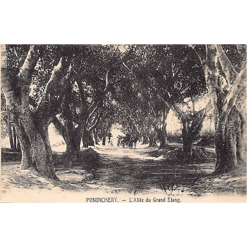 Rare collectable postcards of India. Vintage Postcards of India