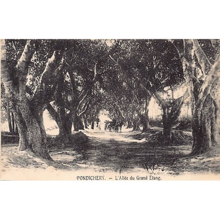 Rare collectable postcards of India. Vintage Postcards of India