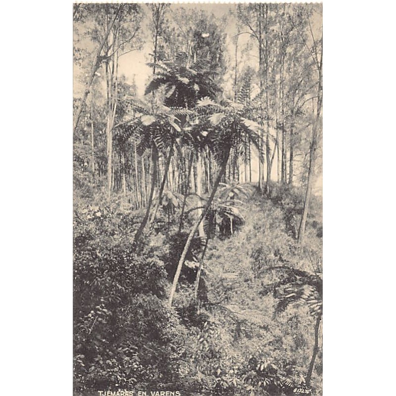 Rare collectable postcards of Indonesia. Vintage Postcards of Indonesia