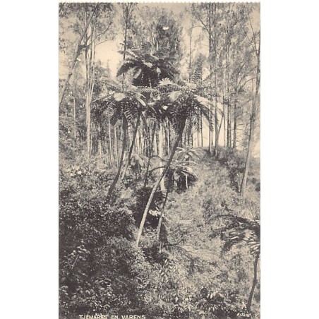 Rare collectable postcards of Indonesia. Vintage Postcards of Indonesia