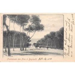 Rare collectable postcards of Lebanon. Vintage Postcards of Lebanon