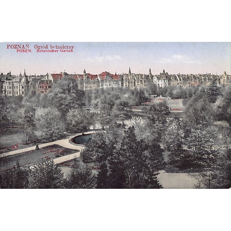 Rare collectable postcards of POLAND. Vintage Postcards of POLAND