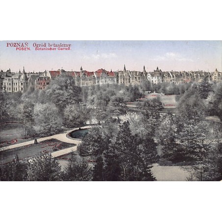 Rare collectable postcards of POLAND. Vintage Postcards of POLAND