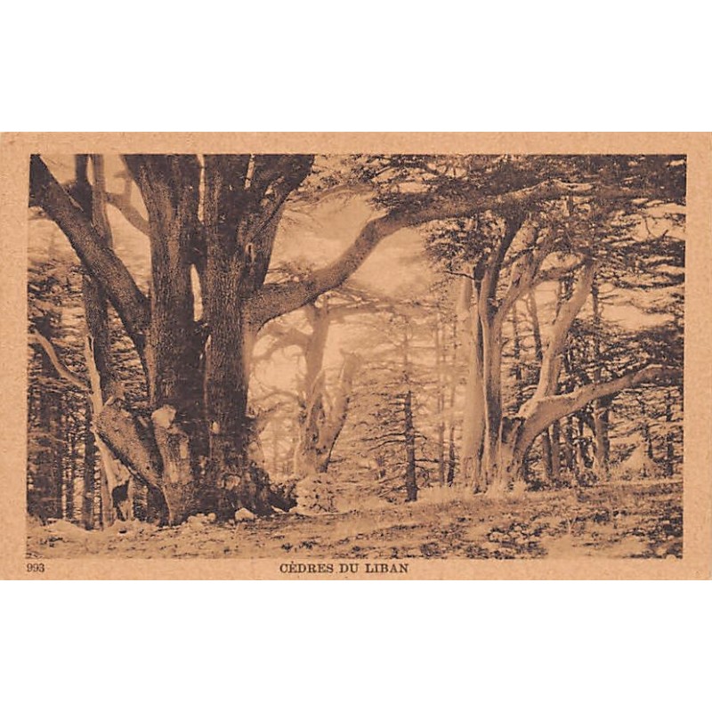 Rare collectable postcards of Lebanon. Vintage Postcards of Lebanon