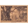 Rare collectable postcards of Lebanon. Vintage Postcards of Lebanon