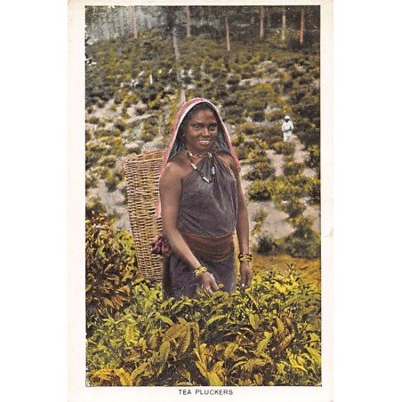 Rare collectable postcards of Sri Lanka (Ceylon). Vintage Postcards of Sri Lanka (Ceylon)