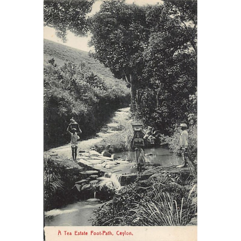 Rare collectable postcards of Sri Lanka (Ceylon). Vintage Postcards of Sri Lanka (Ceylon)