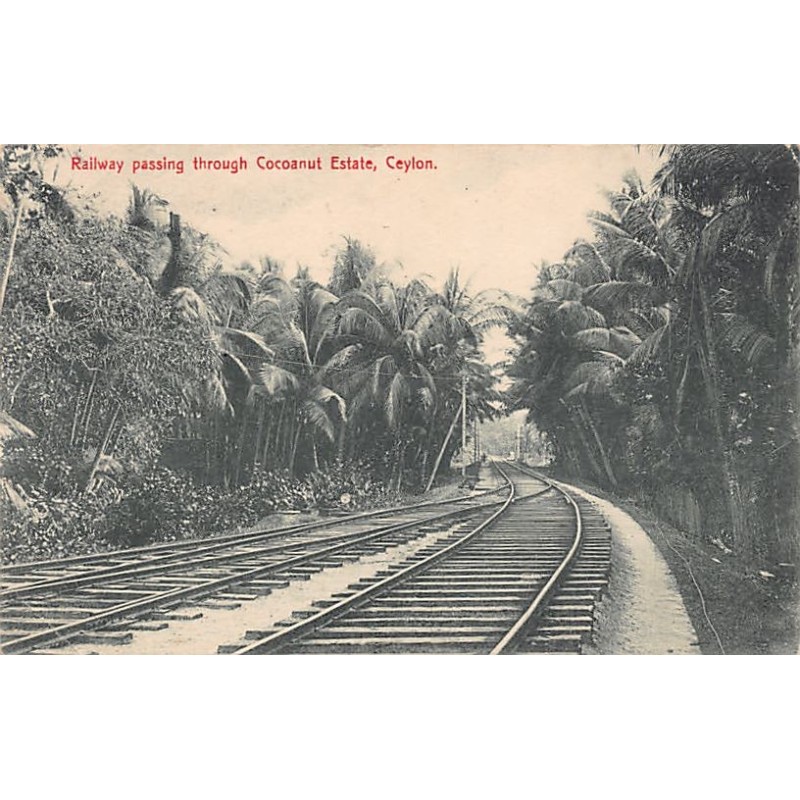 Rare collectable postcards of Sri Lanka (Ceylon). Vintage Postcards of Sri Lanka (Ceylon)