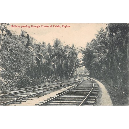 Rare collectable postcards of Sri Lanka (Ceylon). Vintage Postcards of Sri Lanka (Ceylon)