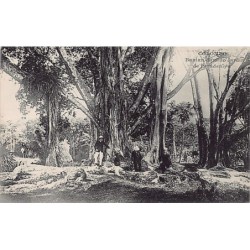 Rare collectable postcards of Sri Lanka (Ceylon). Vintage Postcards of Sri Lanka (Ceylon)