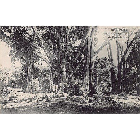 Rare collectable postcards of Sri Lanka (Ceylon). Vintage Postcards of Sri Lanka (Ceylon)