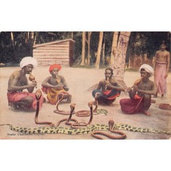 Rare collectable postcards of Sri Lanka (Ceylon). Vintage Postcards of Sri Lanka (Ceylon)