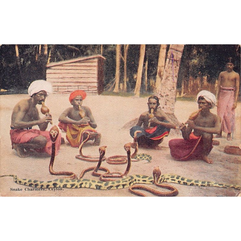 Rare collectable postcards of Sri Lanka (Ceylon). Vintage Postcards of Sri Lanka (Ceylon)