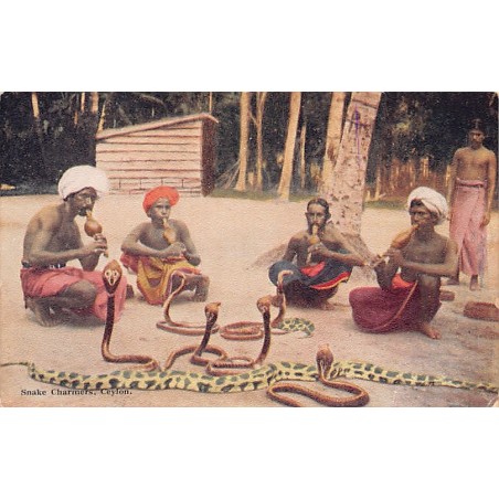 Rare collectable postcards of Sri Lanka (Ceylon). Vintage Postcards of Sri Lanka (Ceylon)
