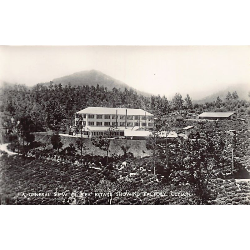 Rare collectable postcards of Sri Lanka (Ceylon). Vintage Postcards of Sri Lanka (Ceylon)