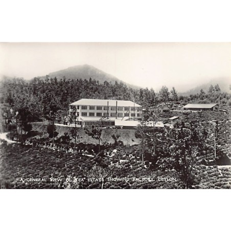 Rare collectable postcards of Sri Lanka (Ceylon). Vintage Postcards of Sri Lanka (Ceylon)