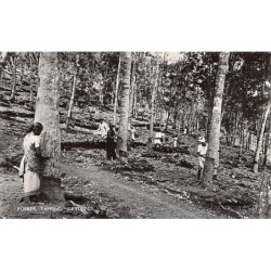 Rare collectable postcards of Sri Lanka (Ceylon). Vintage Postcards of Sri Lanka (Ceylon)