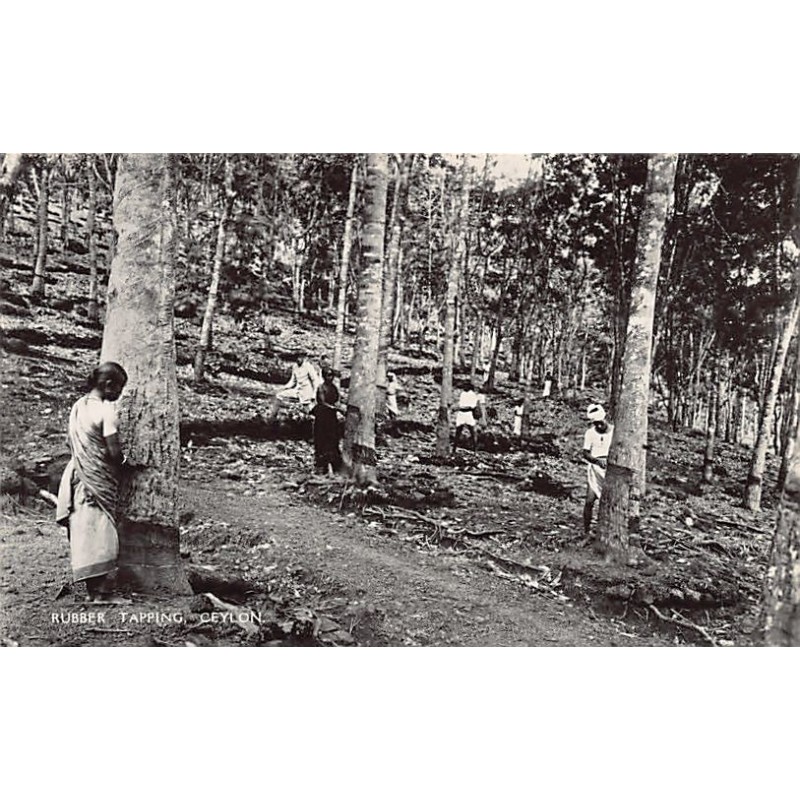 Rare collectable postcards of Sri Lanka (Ceylon). Vintage Postcards of Sri Lanka (Ceylon)