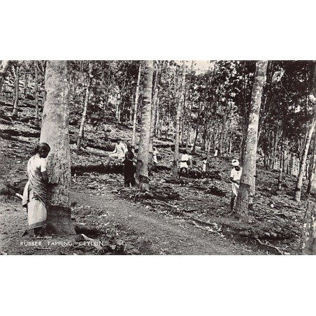 Rare collectable postcards of Sri Lanka (Ceylon). Vintage Postcards of Sri Lanka (Ceylon)