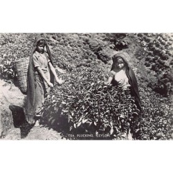 Rare collectable postcards of Sri Lanka (Ceylon). Vintage Postcards of Sri Lanka (Ceylon)